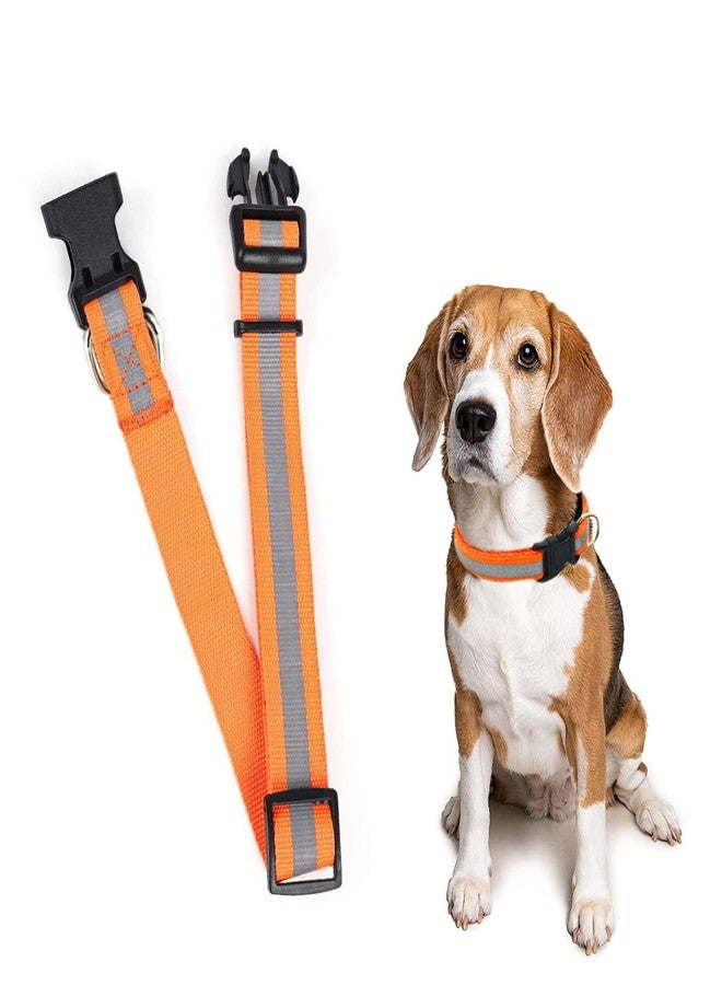 ويستيرن إرا طوق عاكس للكلاب من ويسترن إيرا، مصنوع من قماش النايلون، مرن، فائق النعومة، عالي الكثافة، لطيف على الحيوانات الأليفة ولا يسبب تهيجًا، يتيح اللعب بحرية وراحة. - Image 1